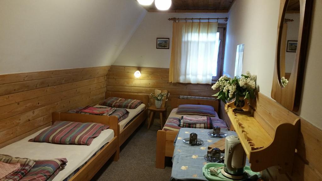 Camping Harenda Pokoje Goscinne I Domki Zakopane Buitenkant foto