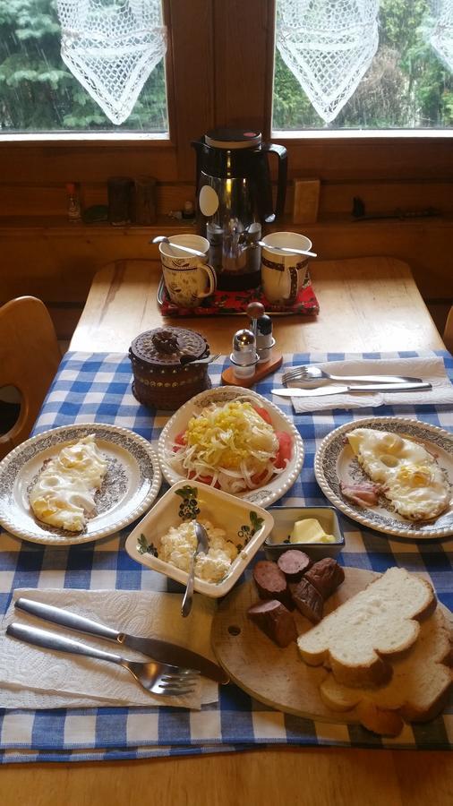 Camping Harenda Pokoje Goscinne I Domki Zakopane Buitenkant foto
