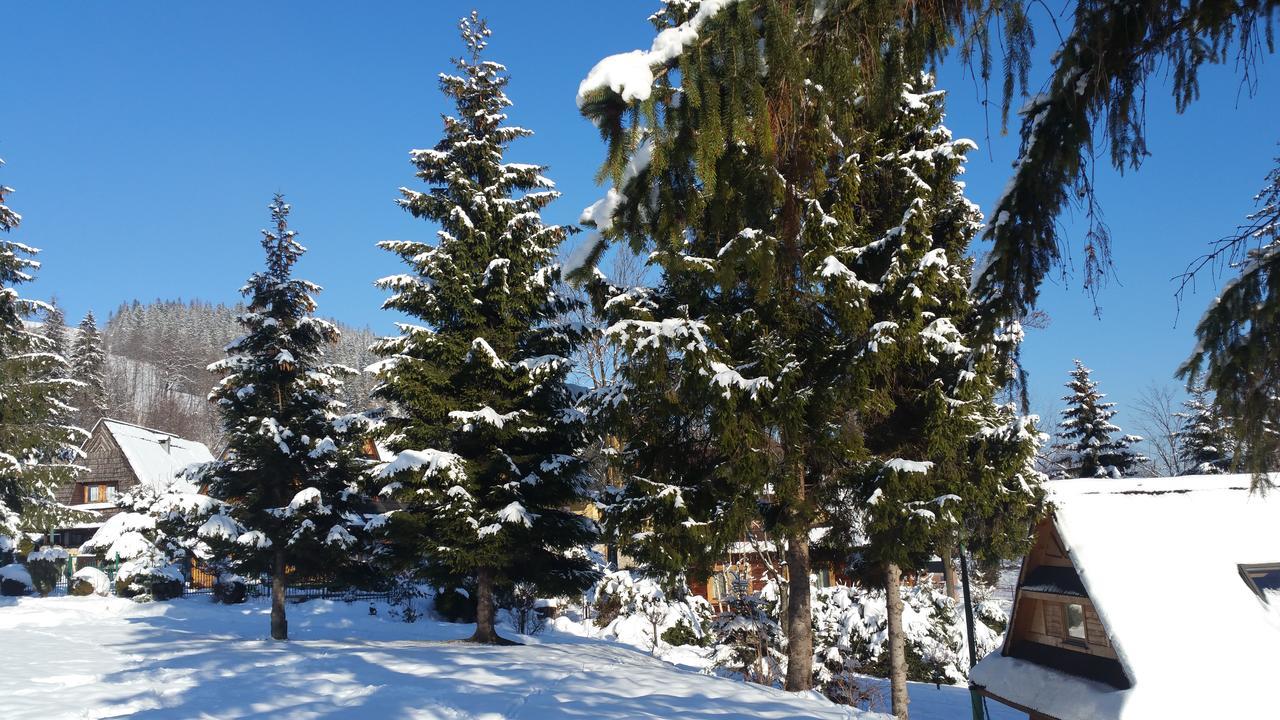 Camping Harenda Pokoje Goscinne I Domki Zakopane Buitenkant foto