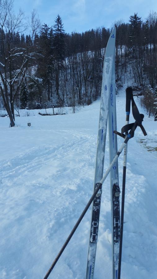 Camping Harenda Pokoje Goscinne I Domki Zakopane Buitenkant foto