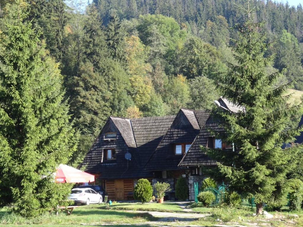 Camping Harenda Pokoje Goscinne I Domki Zakopane Kamer foto