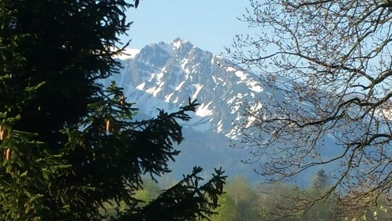 Camping Harenda Pokoje Goscinne I Domki Zakopane Buitenkant foto