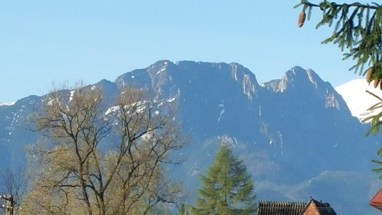 Camping Harenda Pokoje Goscinne I Domki Zakopane Buitenkant foto