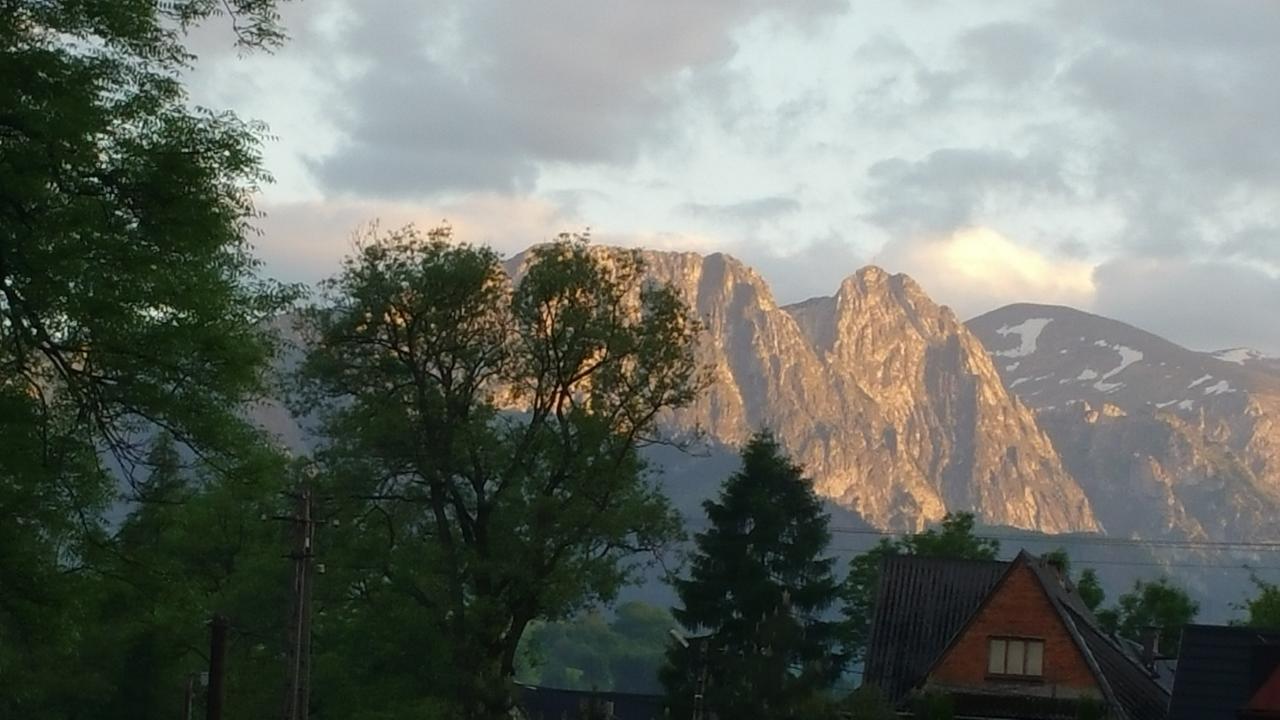 Camping Harenda Pokoje Goscinne I Domki Zakopane Buitenkant foto