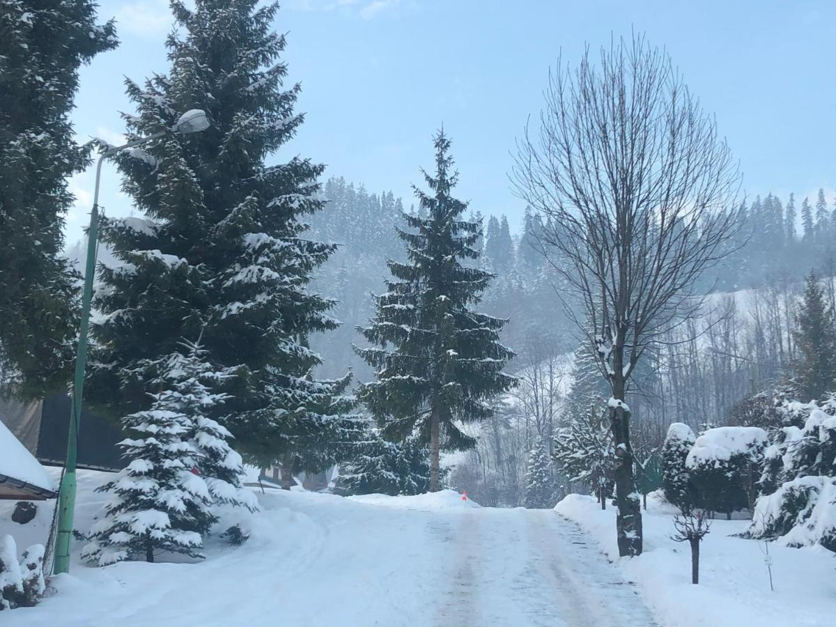 Camping Harenda Pokoje Goscinne I Domki Zakopane Buitenkant foto